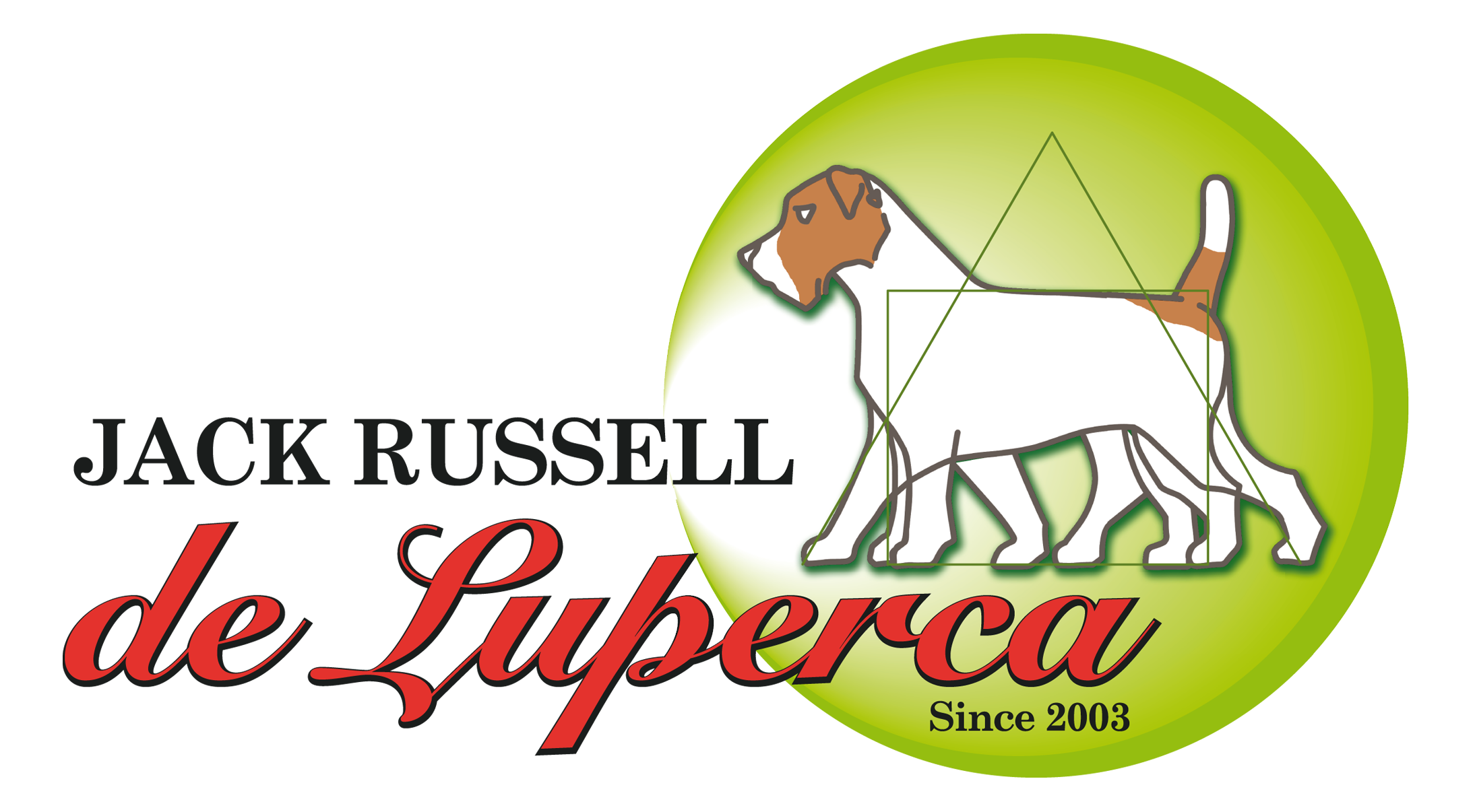 Jack Russell de Luperca