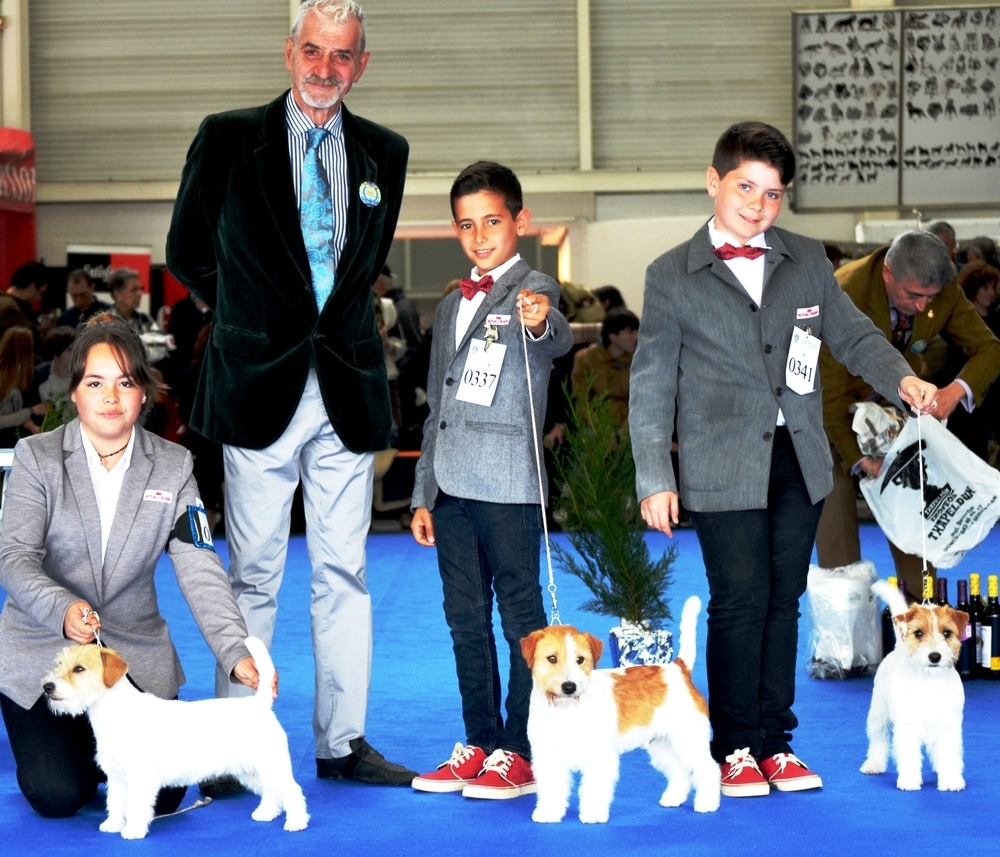 XXXVII Exposición Internacional Canina De Guipuzcoa (IRÚN)