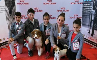 XXI Exposición Inernacional Canina Girona 2017