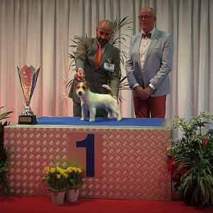 94th INTERNATIONAL DOG Show LUXEMBOURG
