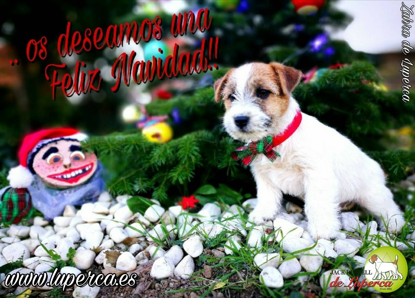 ..desde Luperca Les Deseamos Unas Felices Fiestas Y FELIZ NAVIDAD!!